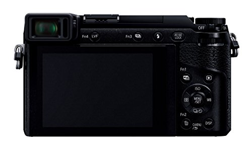 パナソニック LUMIX(ルミックス)のミラーレスのおすすめ人気 パナソニック LUMIX(ルミックス)のミラーレスのおすすめ人気