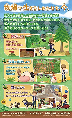 牧場物語 オリーブタウンと希望の大地 2