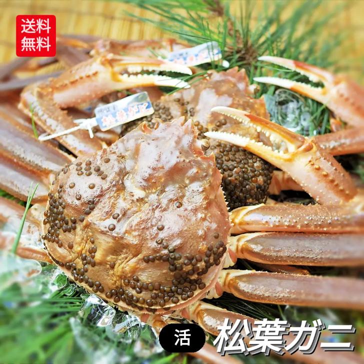  松葉ガニ 活 姿 1