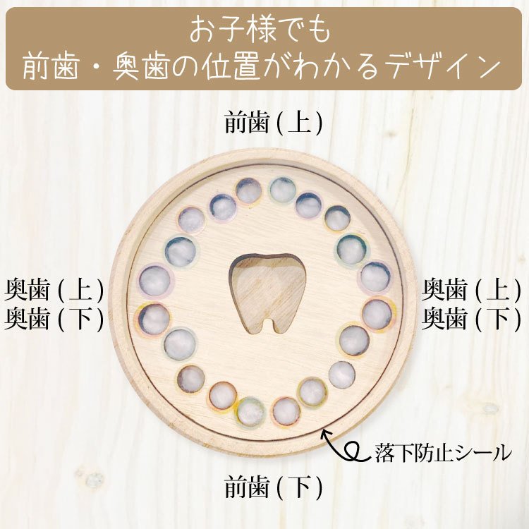 丸型乳歯ケースlight 7