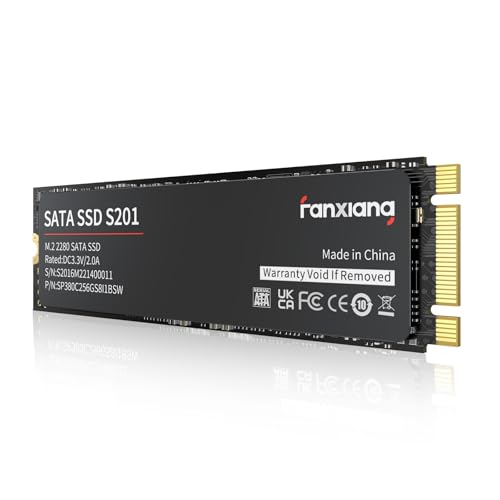 Internal SSD 1