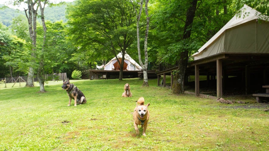 Rita's Ranch 南軽井沢 4