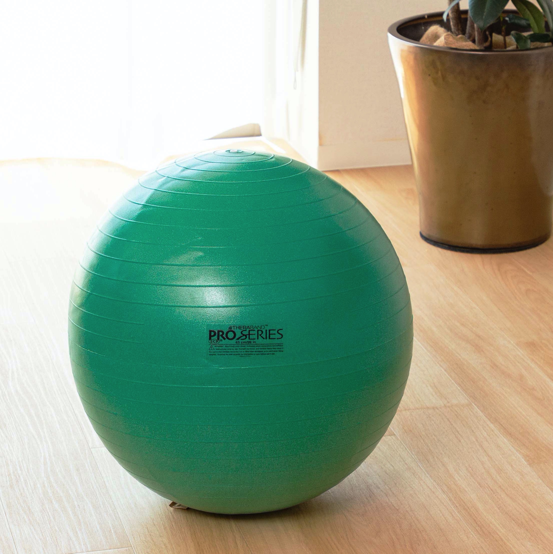 バランスボール e8c100993433b39542ab7b80523cf2