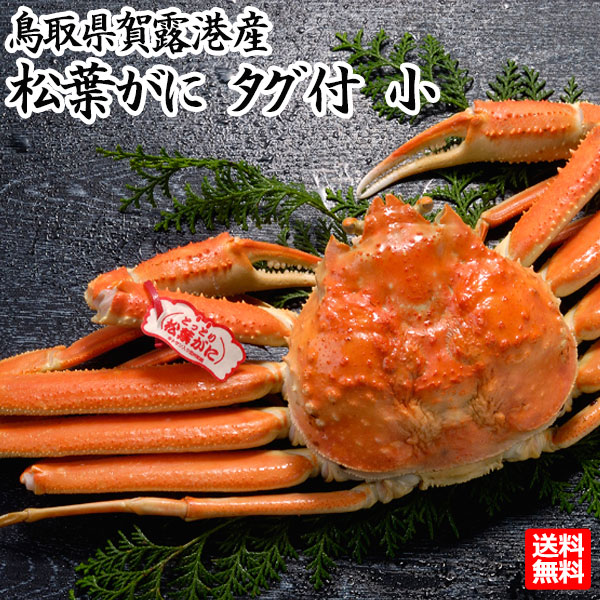 鳥取県産 贈答用 松葉ガニ 1