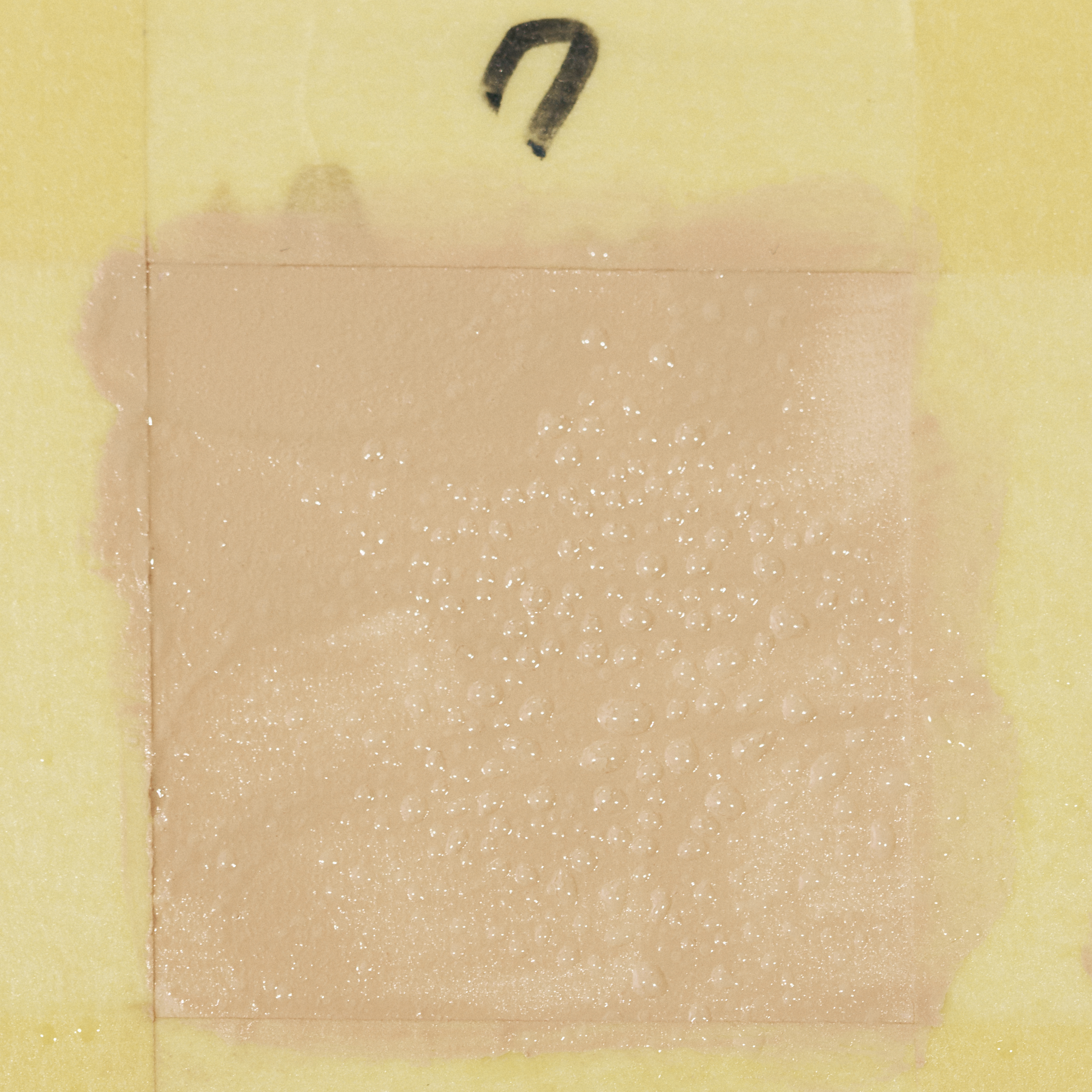 ジルスチュアート ラスティング フルフラットベースを全32商品と比較 口コミや評判を実際に使ってレビューしました Mybest