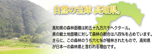 ひのき枕 5