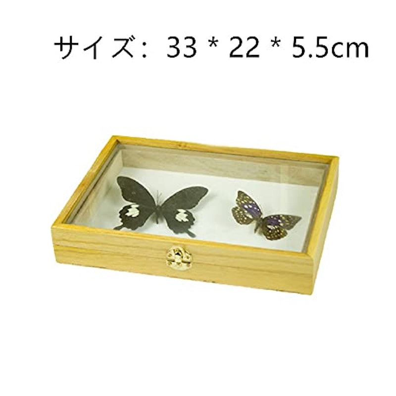 標本箱 4