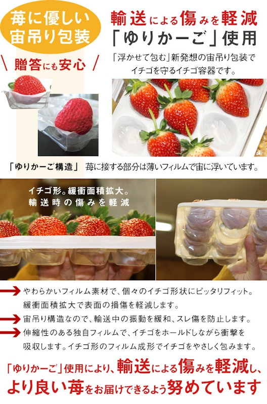 とちあいか 10