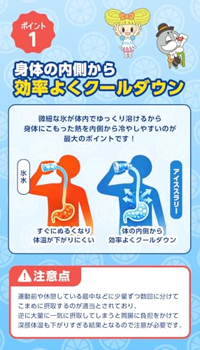 アイススラリー グレープフルーツ味 6