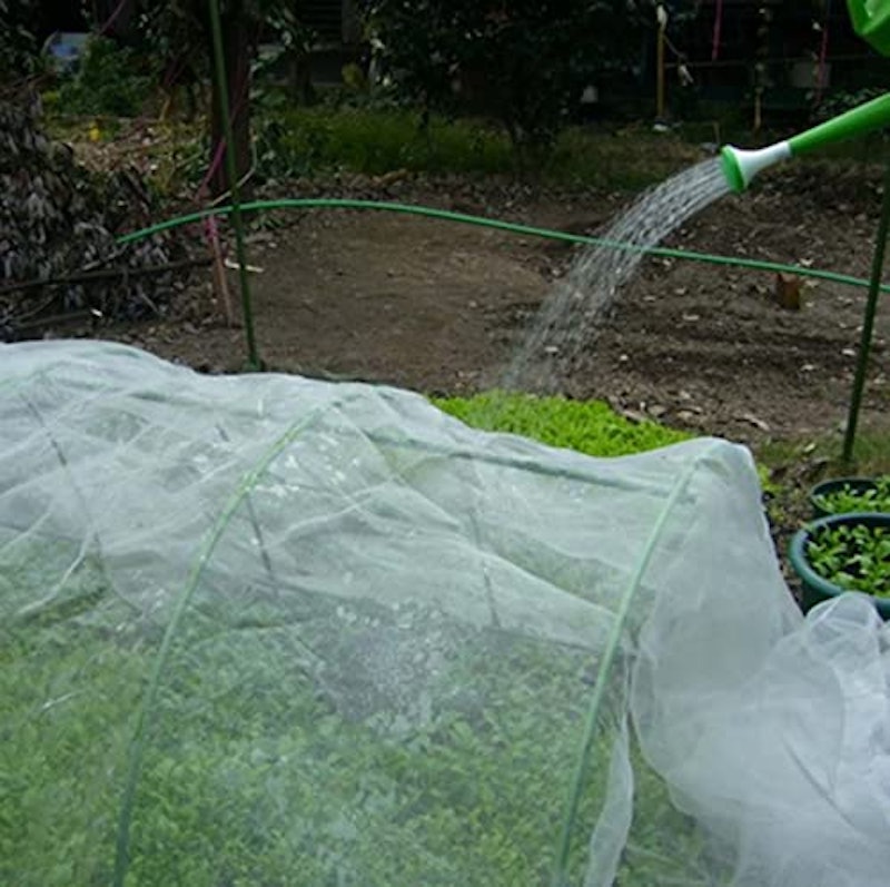 防虫ネット 6