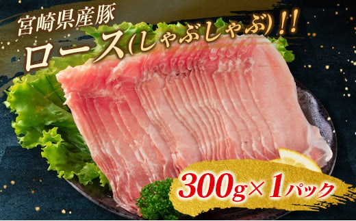 豚肉5種 お楽しみセット 2