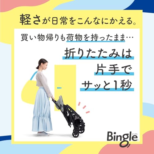 Bingle BB6 4