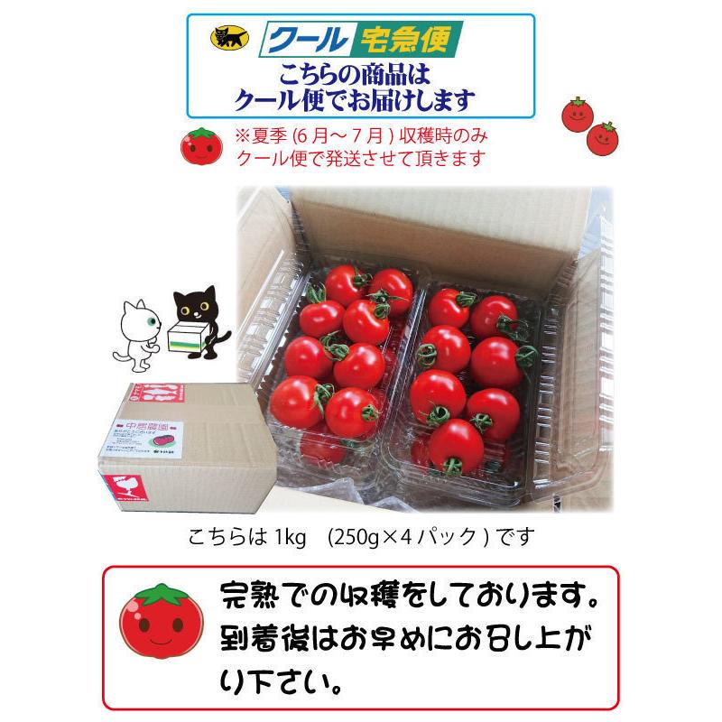 ミディトマト 5