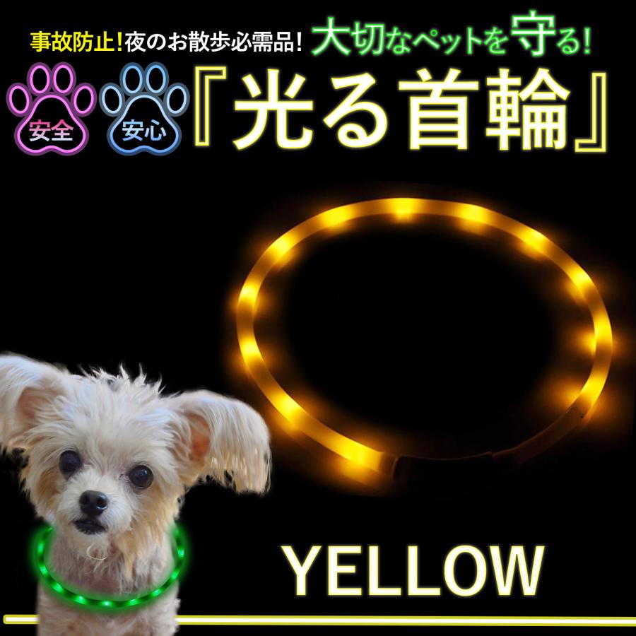 光る首輪  3