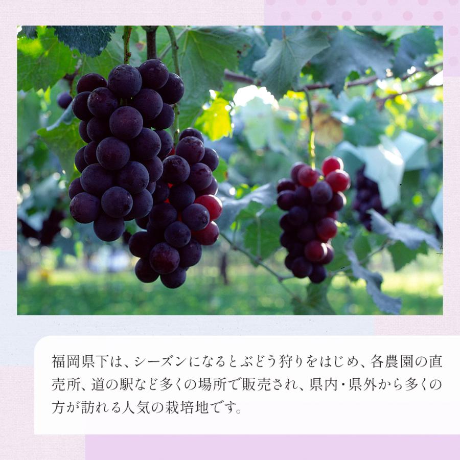 冷凍巨峰 6