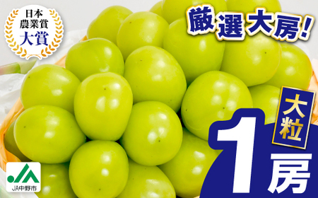 シャインマスカット 4L 1