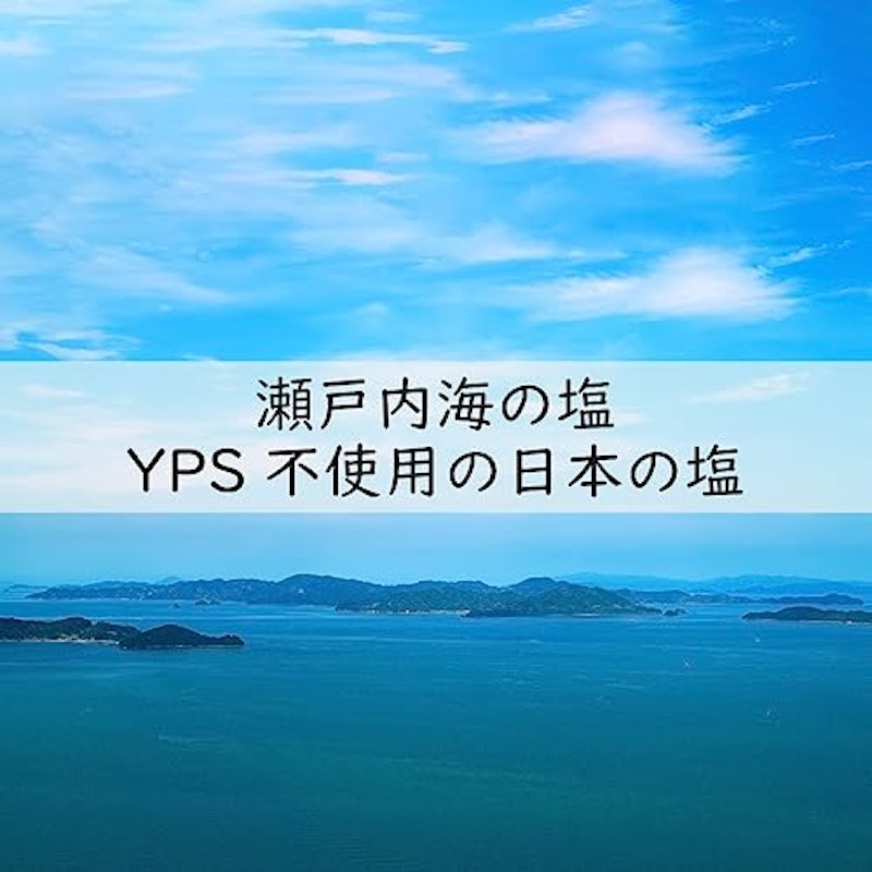 紀州南高梅 訳あり梅 5