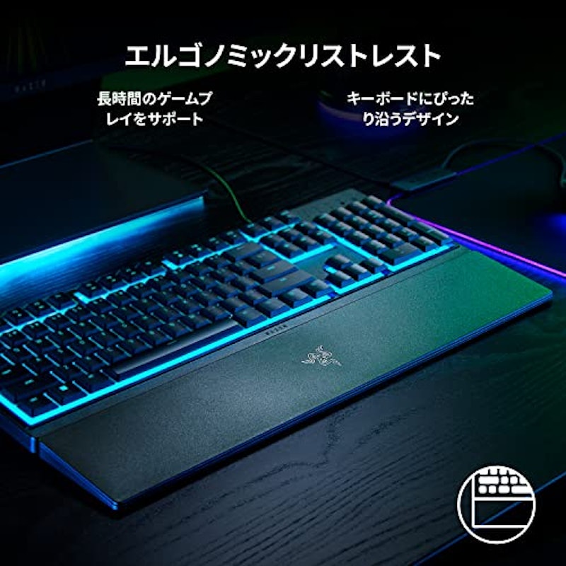 Ornata V3 X 6