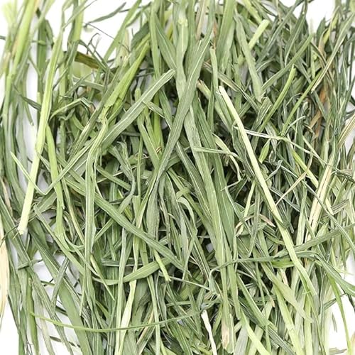やみつきえん麦の葉 オーツヘイ 2