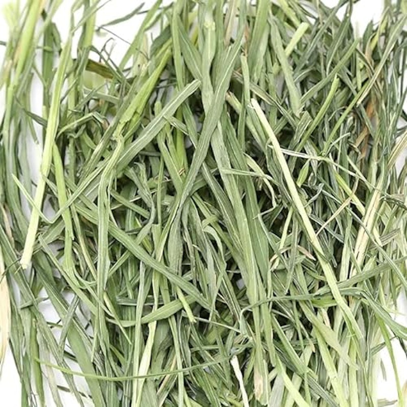 やみつきえん麦の葉 オーツヘイ 2