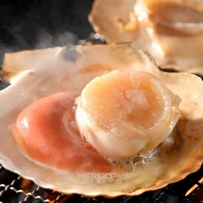 活ホタテ貝 3