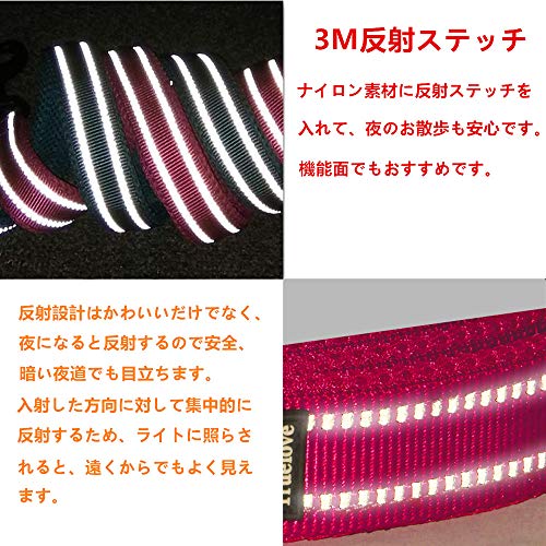 犬用リード L 4