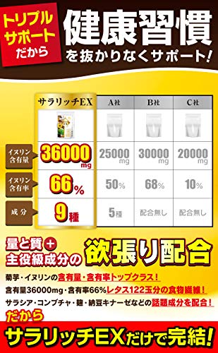 サラリッチEX 6