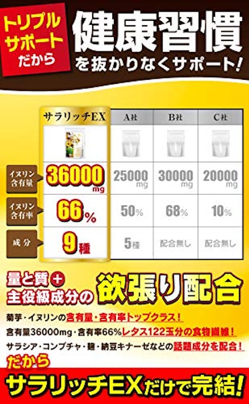 サラリッチEX 6