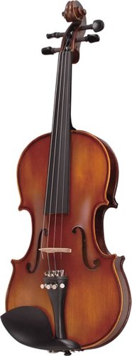 初心者用バイオリンセット 2