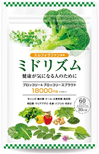 ミドリズム 1