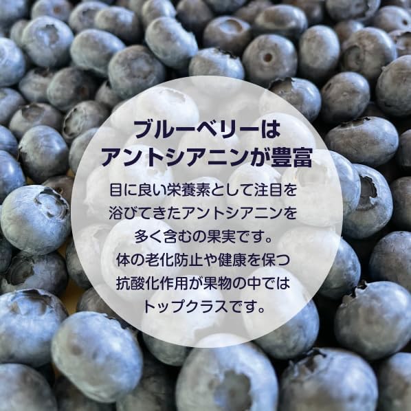 冷凍ブルーベリー 3