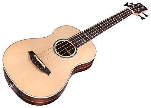 MINI II Bass  3