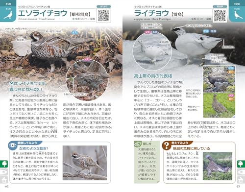 ぱっと見わけ 観察を楽しむ 野鳥図鑑 増補改訂版 2