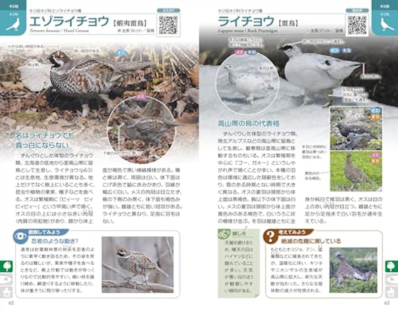 ぱっと見わけ 観察を楽しむ 野鳥図鑑 増補改訂版 2