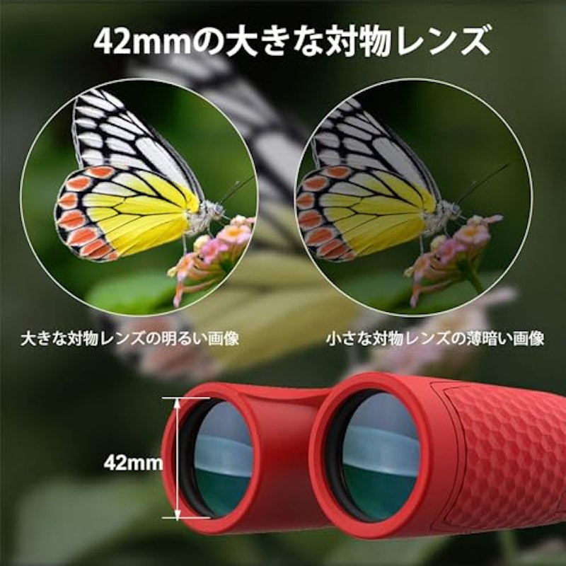 双眼鏡 3