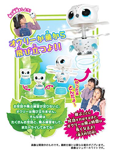 とんで！オウリー 6