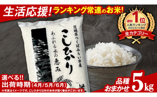 品種おまかせ 茨城県産お米 1