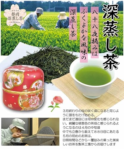 葉桐 特蒸 深むし茶 100g ×10 メーカー直送 ギフト プレゼント