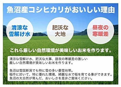 魚沼産コシヒカリ 5