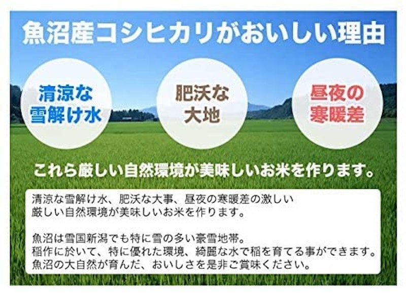 魚沼産コシヒカリ 5