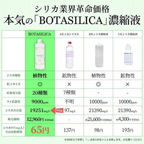BOTASILICA 2