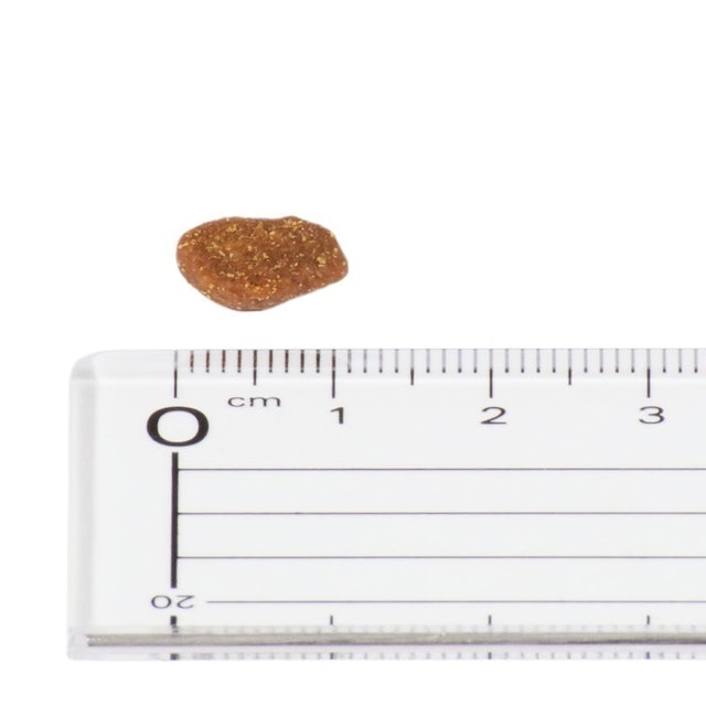 オリジン キャット キトゥンを全30商品と比較 口コミや評判を実際に使ってレビューしました Mybest オリジン キャット キトゥンを全30商品と比較 口コミや評判を実際に使ってレビューしました Mybest