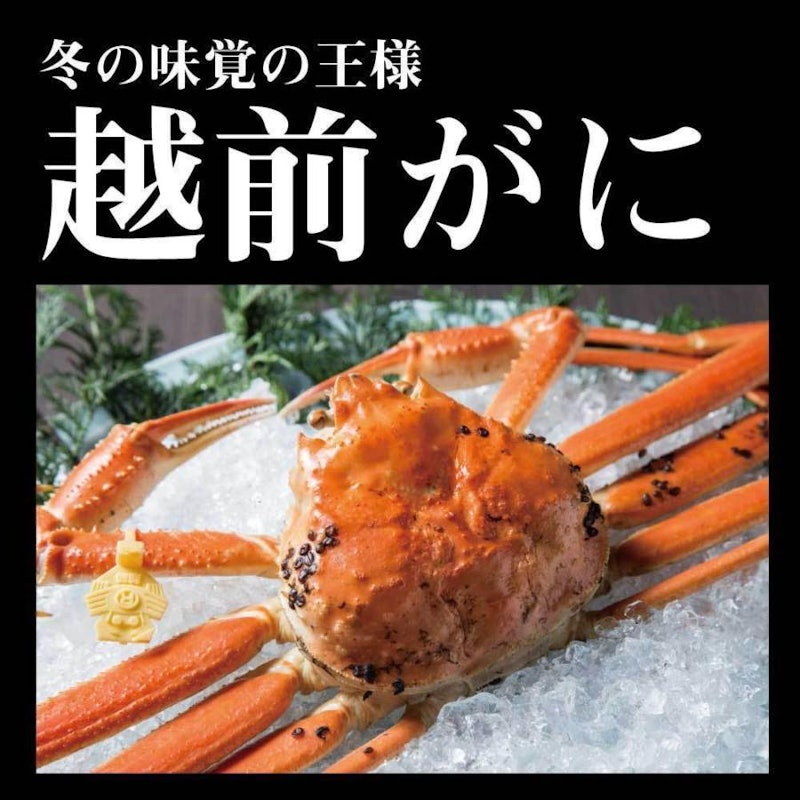 浜茹で越前がに 2