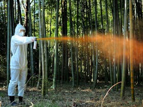 FRONTIERSMAN ベアスプレー 1899162を検証レビュー!熊スプレーの選び方も紹介 2
