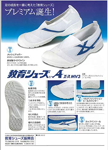 エースMV3 3