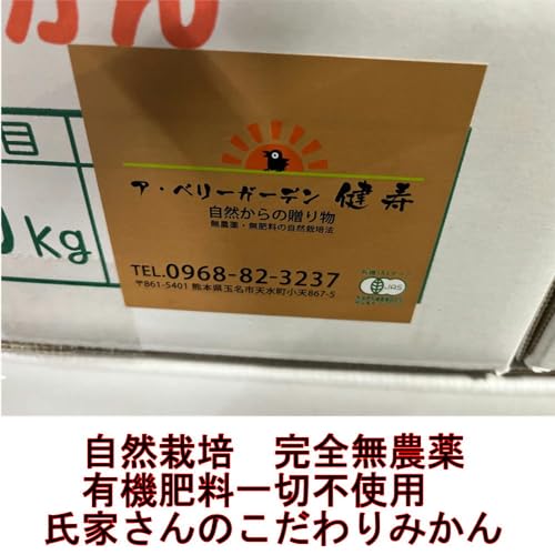 氏家さんの完全無農薬みかん 3
