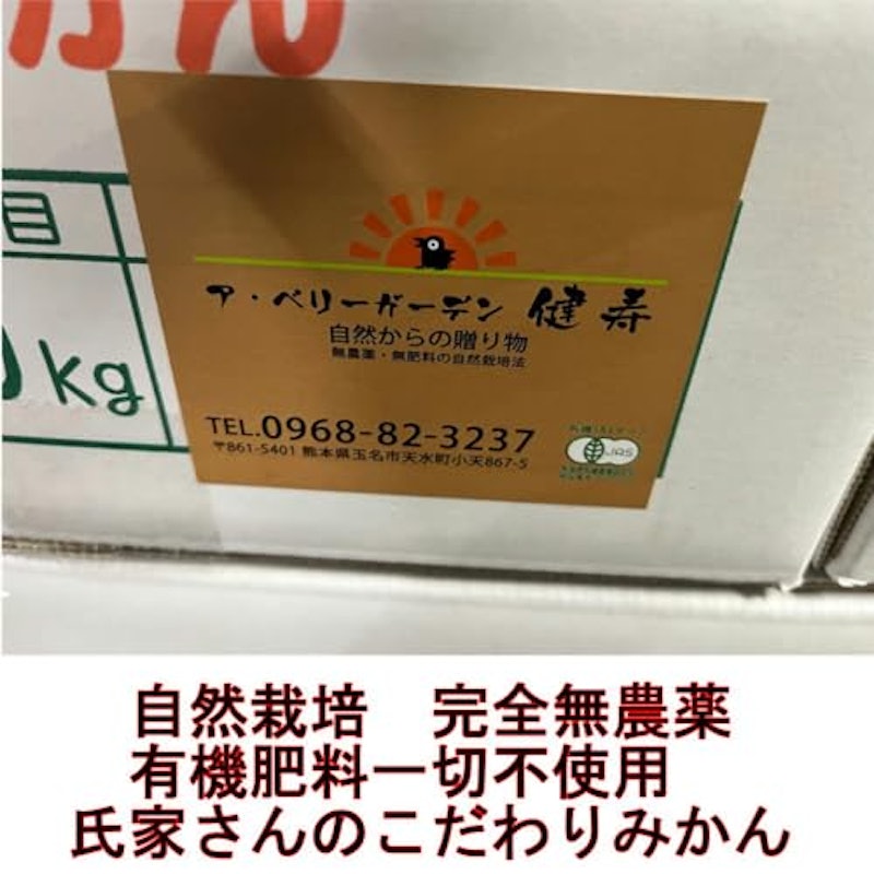 氏家さんの完全無農薬みかん 3