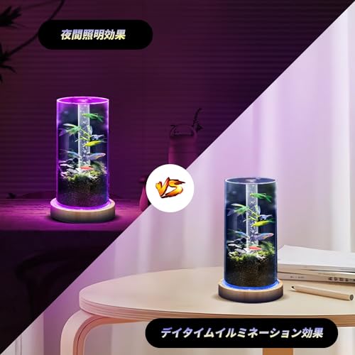 小型水槽セット 2