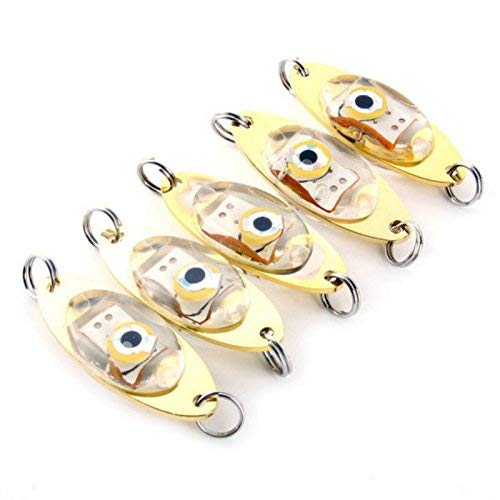 集魚灯 1