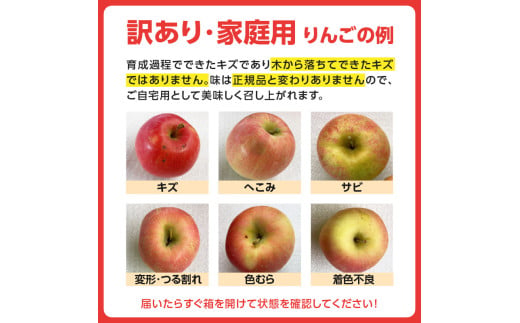 特別栽培 訳あり 家庭用サンふじ 鈴木果樹園 5